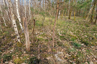 achat terrain langon 41320