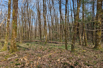 achat terrain langon 41320