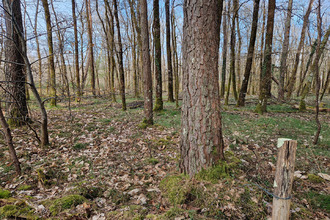 achat terrain langon 41320