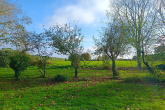 achat terrain languidic 56440