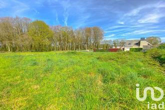 achat terrain languidic 56440