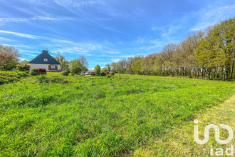 achat terrain languidic 56440