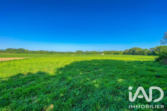 achat terrain languidic 56440