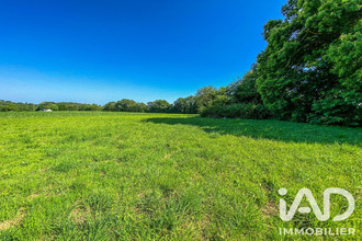 achat terrain languidic 56440