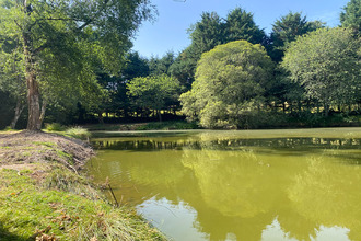 achat terrain larchamp 53220