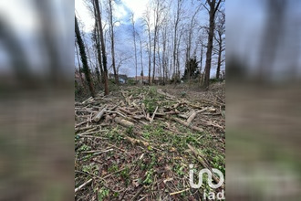 achat terrain larchant 77760