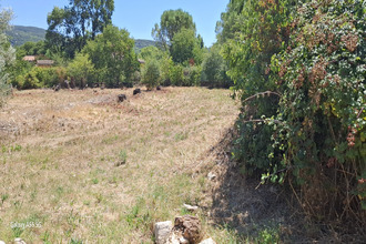 achat terrain laroque 34190