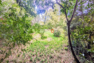 achat terrain laroque-des-alberes 66740