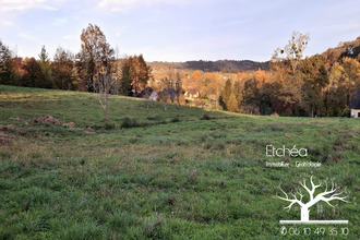 achat terrain lasseube 64290