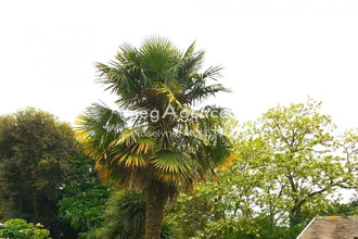 achat terrain laval 53000