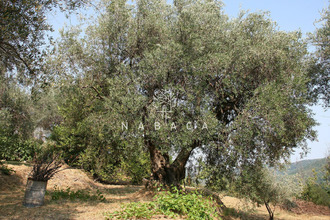 achat terrain le-bar-sur-loup 06620