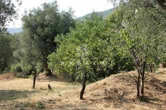 achat terrain le-bar-sur-loup 06620