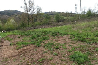 achat terrain le-chambon-feugerolles 42500