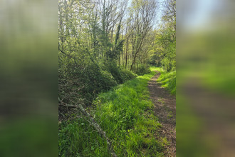 achat terrain le-champ-st-pere 85540