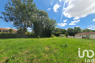 achat terrain le-champ-st-pere 85540