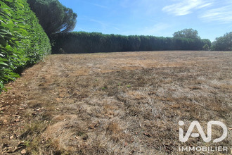 achat terrain le-champ-st-pere 85540