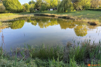 achat terrain le-lion-d-angers 49220