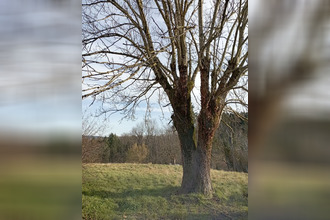 achat terrain le-mayet-de-mtagne 03250