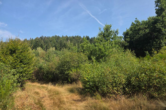 achat terrain le-tholy 88530