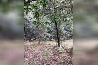 achat terrain le-verdon-sur-mer 33123