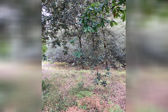 achat terrain le-verdon-sur-mer 33123