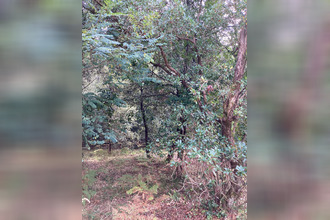 achat terrain le-verdon-sur-mer 33123