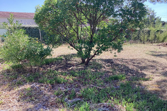 achat terrain le-verdon-sur-mer 33123
