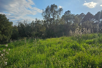 achat terrain lecci 20137