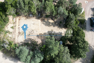achat terrain lecci 20137