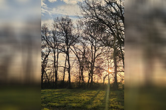 achat terrain leguevin 31490