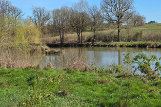 achat terrain leigne-les-bois 86450