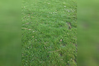 achat terrain les-artigues-de-lussac 33570