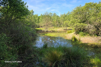 achat terrain les-choux 45290