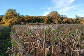 achat terrain les-tourreilles 31210