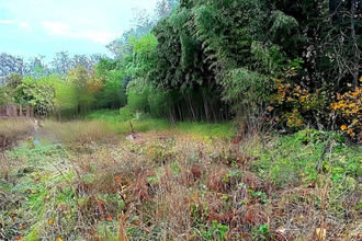 achat terrain lescure-d-albigeois 81380
