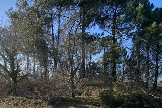 achat terrain lesperon 40260