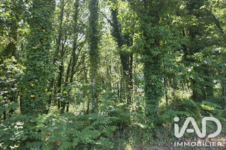 achat terrain limerzel 56220