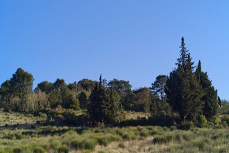 achat terrain limoux 11300