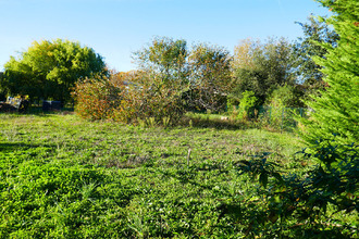 achat terrain lisle-sur-tarn 81310