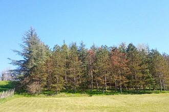 achat terrain lombers 81120