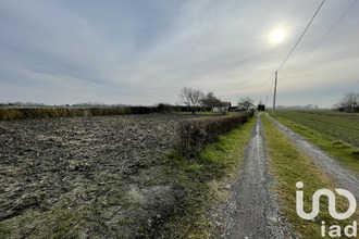 achat terrain looberghe 59630