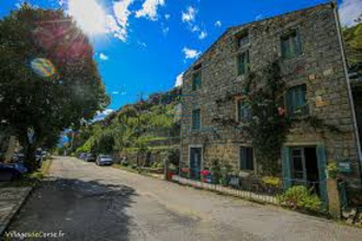 achat terrain loreto-di-tallano 20165