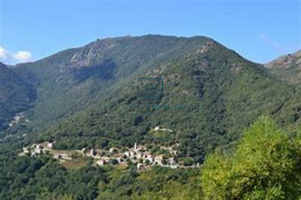 achat terrain loreto-di-tallano 20165