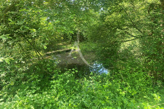 achat terrain loury 45470