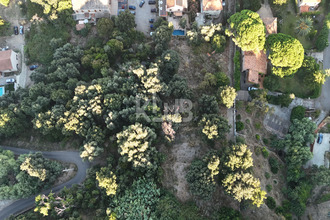 achat terrain lucciana 20290