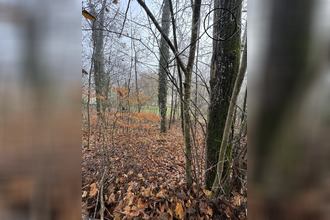 achat terrain luneville 54300