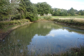 achat terrain lureuil 36220