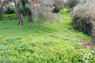 achat terrain luri 20228