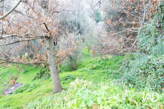 achat terrain luri 20228