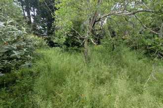 achat terrain magne 79460